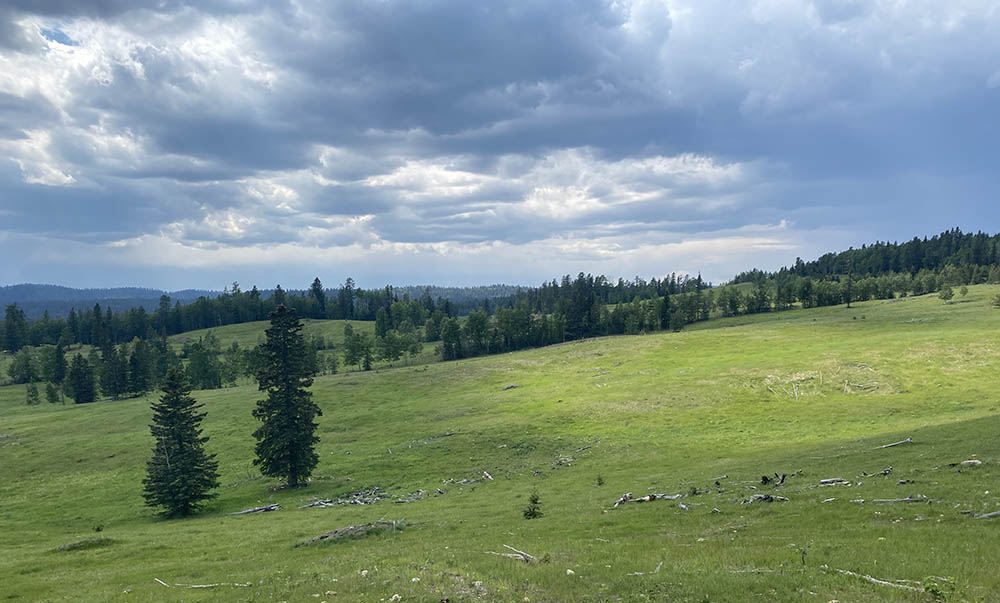 Griffin Valley Ranch