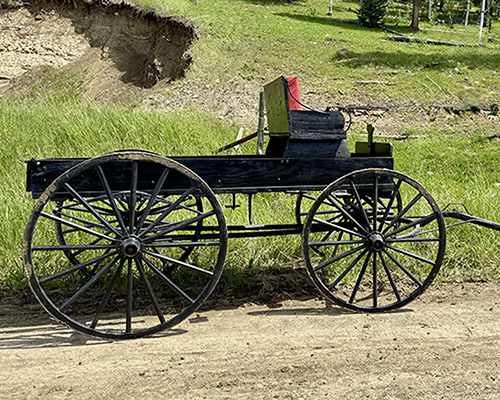 Buck Board Wagon